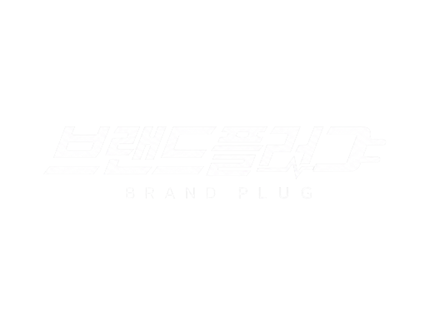 PLUG BRAND PLUG